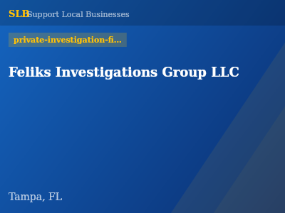 Feliks Investigations Group LLC — private-investigation-firms in Tampa, FL