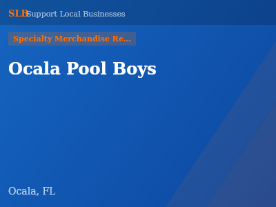 Ocala Pool Boys — Specialty Merchandise Retailers in Ocala, FL