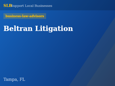 Beltran Litigation — business-law-advisors in Tampa, FL