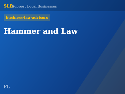 Hammer and Law — business-law-advisors in , FL