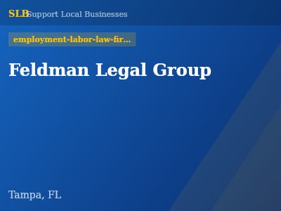 Feldman Legal Group — employment-labor-law-firms in Tampa, FL