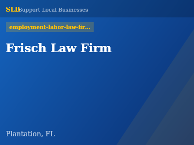 Frisch Law Firm — employment-labor-law-firms in Plantation, FL