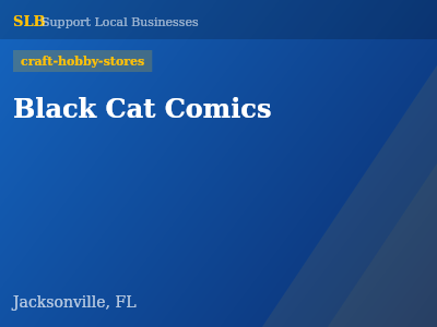 Black Cat Comics — craft-hobby-stores in Jacksonville, FL