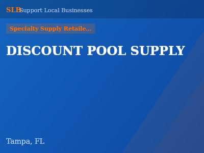 DISCOUNT POOL SUPPLY — Specialty Supply Retailers in Tampa, FL