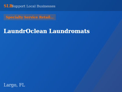 LaundrOclean Laundromats — Specialty Service Retailers in Largo, FL