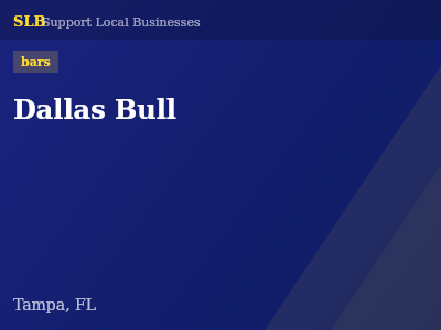 Dallas Bull — bars in Tampa, FL