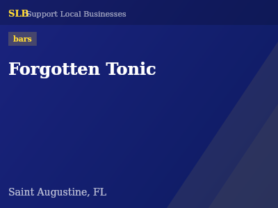 Forgotten Tonic — bars in Saint Augustine, FL