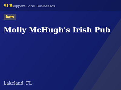 Molly McHugh's Irish Pub — bars in Lakeland, FL