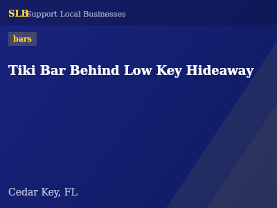 Tiki Bar Behind Low Key Hideaway — bars in Cedar Key, FL