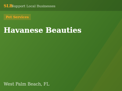 Havanese Beauties — Pet Services in West Palm Beach, FL
