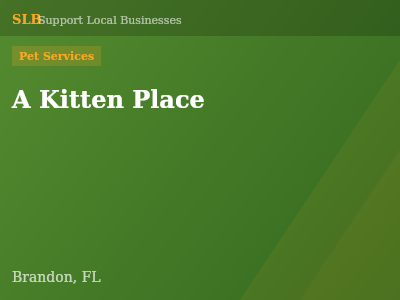 A Kitten Place — Pet Services in Brandon, FL