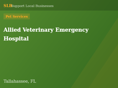 Allied Veterinary Emergency Hospital — Pet Services in Tallahassee, FL