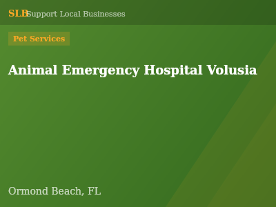 Animal Emergency Hospital Volusia — Pet Services in Ormond Beach, FL