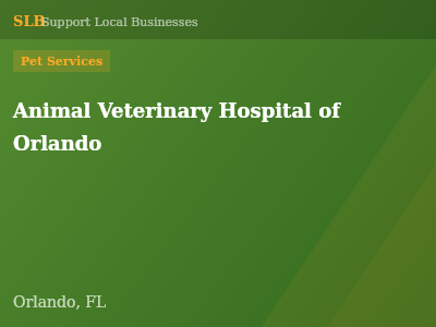 Animal Veterinary Hospital of Orlando — Pet Services in Orlando, FL