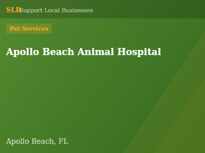 Apollo Beach Animal Hospital — Pet Services in Apollo Beach, FL