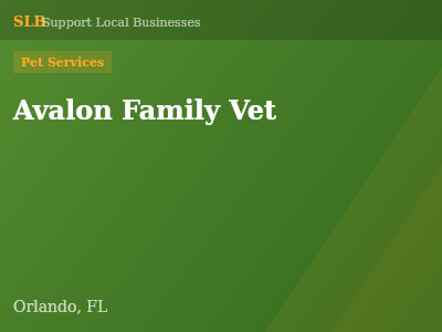 Avalon Family Vet — Pet Services in Orlando, FL