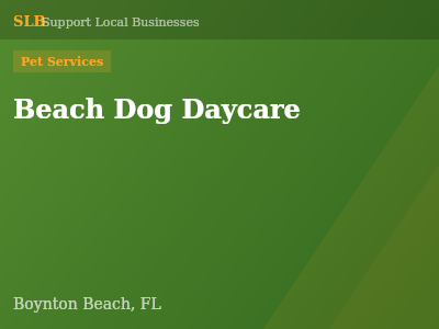 Beach Dog Daycare — Pet Services in Boynton Beach, FL