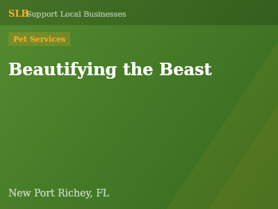 Beautifying the Beast — Pet Services in New Port Richey, FL