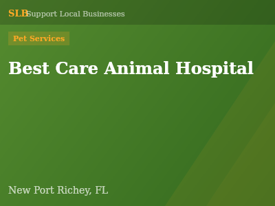 Best Care Animal Hospital — Pet Services in New Port Richey, FL