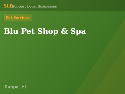 Blu Pet Shop & Spa — Pet Services in Tampa, FL
