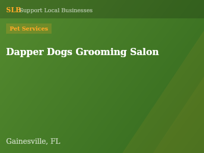 Dapper Dogs Grooming Salon — Pet Services in Gainesville, FL