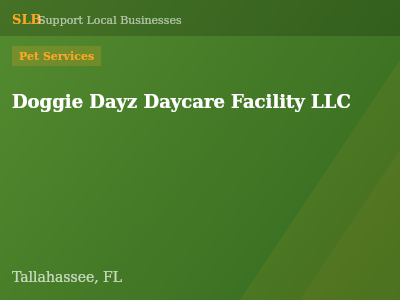 Doggie Dayz Daycare Facility LLC — Pet Services in Tallahassee, FL