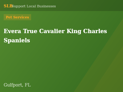 Evera True Cavalier King Charles Spaniels — Pet Services in Gulfport, FL