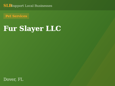 Fur Slayer LLC — Pet Services in Dover, FL