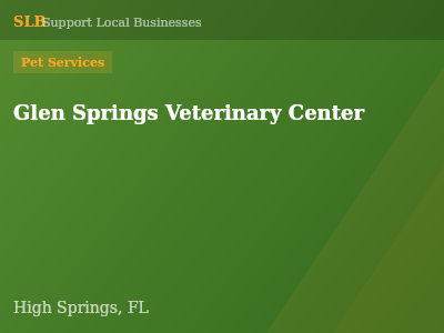 Glen Springs Veterinary Center — Pet Services in High Springs, FL