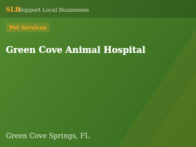 Green Cove Animal Hospital — Pet Services in Green Cove Springs, FL