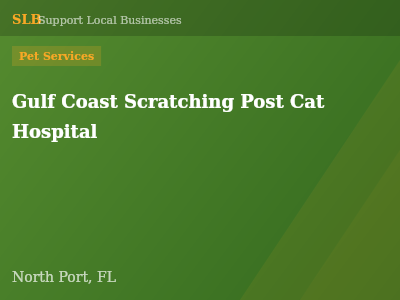 Gulf Coast Scratching Post Cat Hospital — Pet Services in North Port, FL