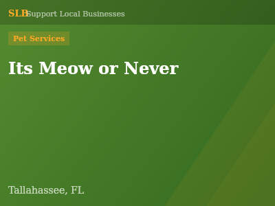 Its Meow or Never — Pet Services in Tallahassee, FL