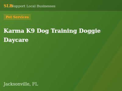 Karma K9 Dog Training Doggie Daycare — Pet Services in Jacksonville, FL