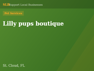 Lilly pups boutique — Pet Services in St. Cloud, FL