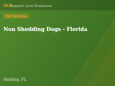 Non Shedding Dogs - Florida — Pet Services in Holiday, FL