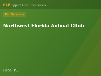 Northwest Florida Animal Clinic — Pet Services in Pace, FL