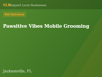 Pawsitive Vibes Mobile Grooming — Pet Services in Jacksonville, FL