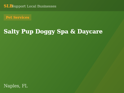 Salty Pup Doggy Spa & Daycare — Pet Services in Naples, FL