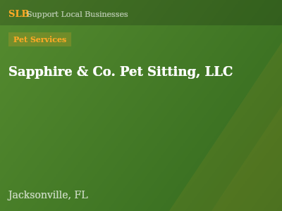 Sapphire & Co. Pet Sitting, LLC — Pet Services in Jacksonville, FL