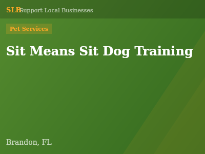 Sit Means Sit Dog Training — Pet Services in Brandon, FL