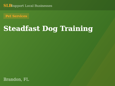 Steadfast Dog Training — Pet Services in Brandon, FL