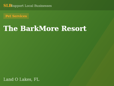 The BarkMore Resort — Pet Services in Land O Lakes, FL