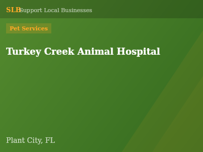 Turkey Creek Animal Hospital — Pet Services in Plant City, FL