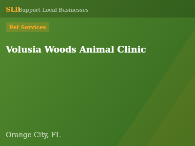Volusia Woods Animal Clinic — Pet Services in Orange City, FL