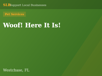 Woof! Here It Is! — Pet Services in Westchase, FL