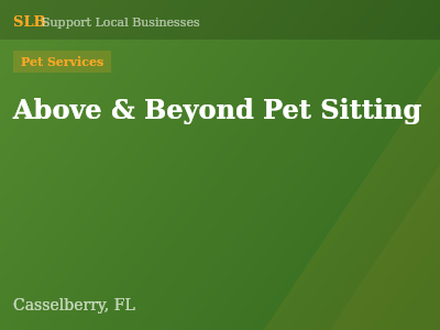 Above & Beyond Pet Sitting — Pet Services in Casselberry, FL