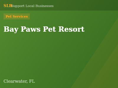 Bay Paws Pet Resort — Pet Services in Clearwater, FL