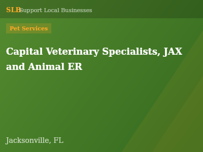 Capital Veterinary Specialists, JAX and Animal ER — Pet Services in Jacksonville, FL