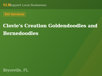 Clovie's Creation Goldendoodles and Bernedoodles — Pet Services in Bryceville, FL