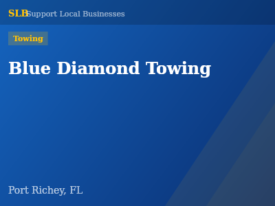 Blue Diamond Towing — Towing in Port Richey, FL